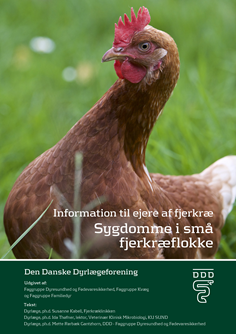 7145204_vejledning-til-sygdomme-hos-hons_ejer_ny-forside
