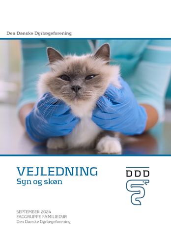 Vejledning - Syn og skøn