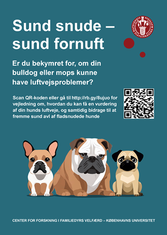 Sund snude - sund fornuft