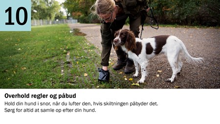 10. Overhold regler og påbud