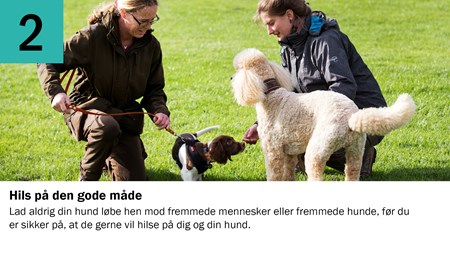 2. Hils på den gode måde