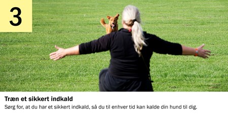 3. Træn et sikkert indkald