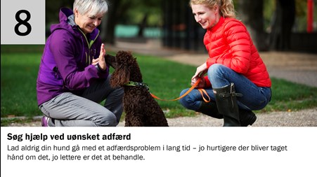 8. Søg hjælp ved uønsket adfærd