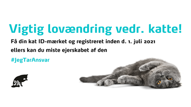 coverfoto-til-facebook