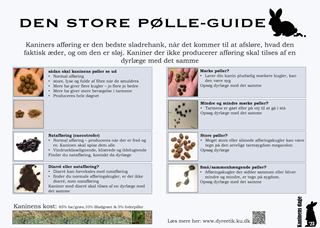 den-store-poelle-guide-digigraf