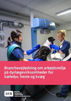 Branchevejledning om arbejdsmiljø 
på dyrlægevirksomheder for 
kæledyr, heste og kvæg