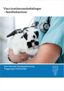 forside_vaccinationsanbefalinger_kanin