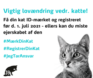 foto-til-facebook-opslag