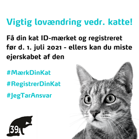 foto-til-instagram-opslag