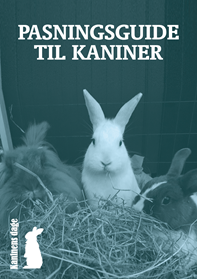 Pasningsguide til kaniner
