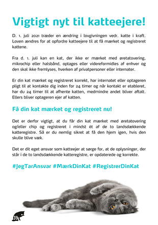 vigtigt-nyt-til-katteejere-opslag-som-billedfil